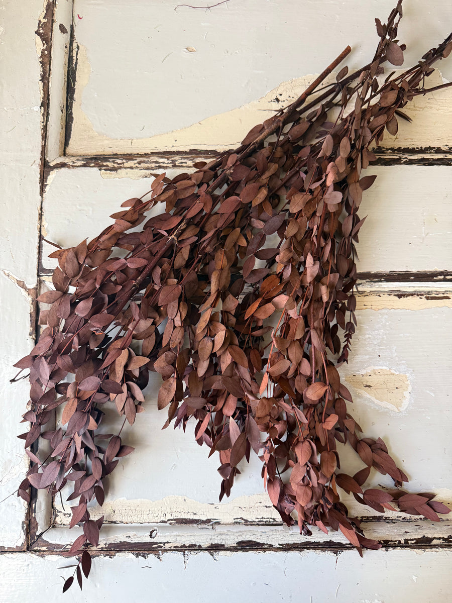 直销店 & 样品 [花茎 / 绿叶]