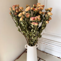 Dried Spray Mini Rose