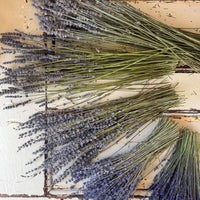 Naturally Dried Lavender bunch - blue purple