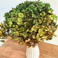 Preserved Hydrangea Stem