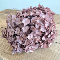绣球花保存茎