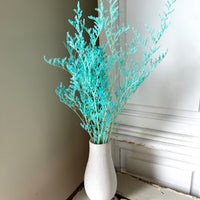 Soft / Vivid Hue Preserved Limonium | Misty | Sea Lavender