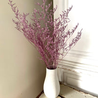 Soft / Vivid Hue Preserved Limonium | Misty | Sea Lavender