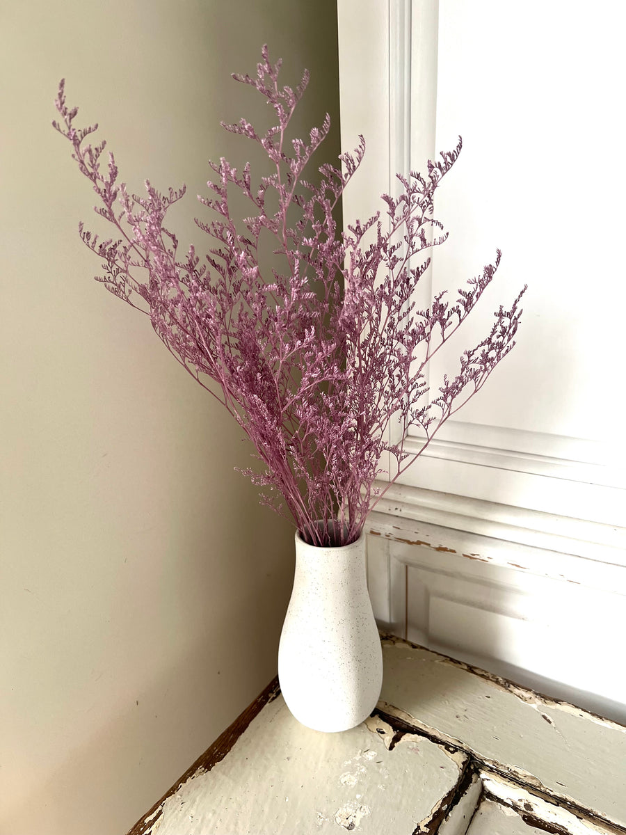 Soft / Vivid Hue Preserved Limonium | Misty | Sea Lavender