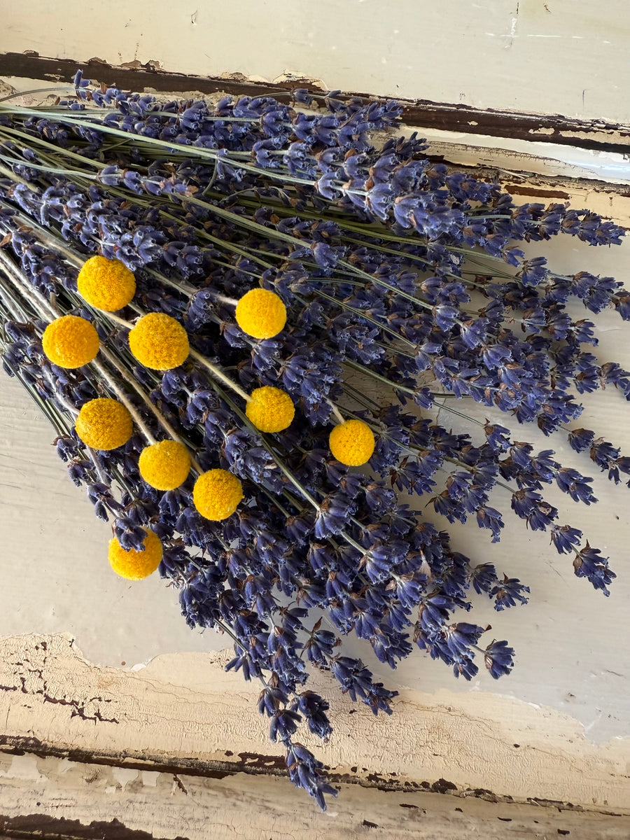 Dried Lavender Garden Bouquet - blue purple