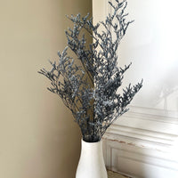 Soft / Vivid Hue Preserved Limonium | Misty | Sea Lavender