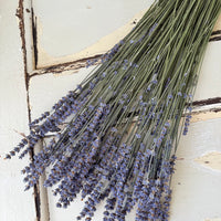 Naturally Dried Lavender bunch - blue purple