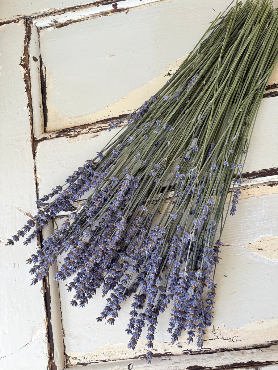 Naturally Dried Lavender bunch - blue purple