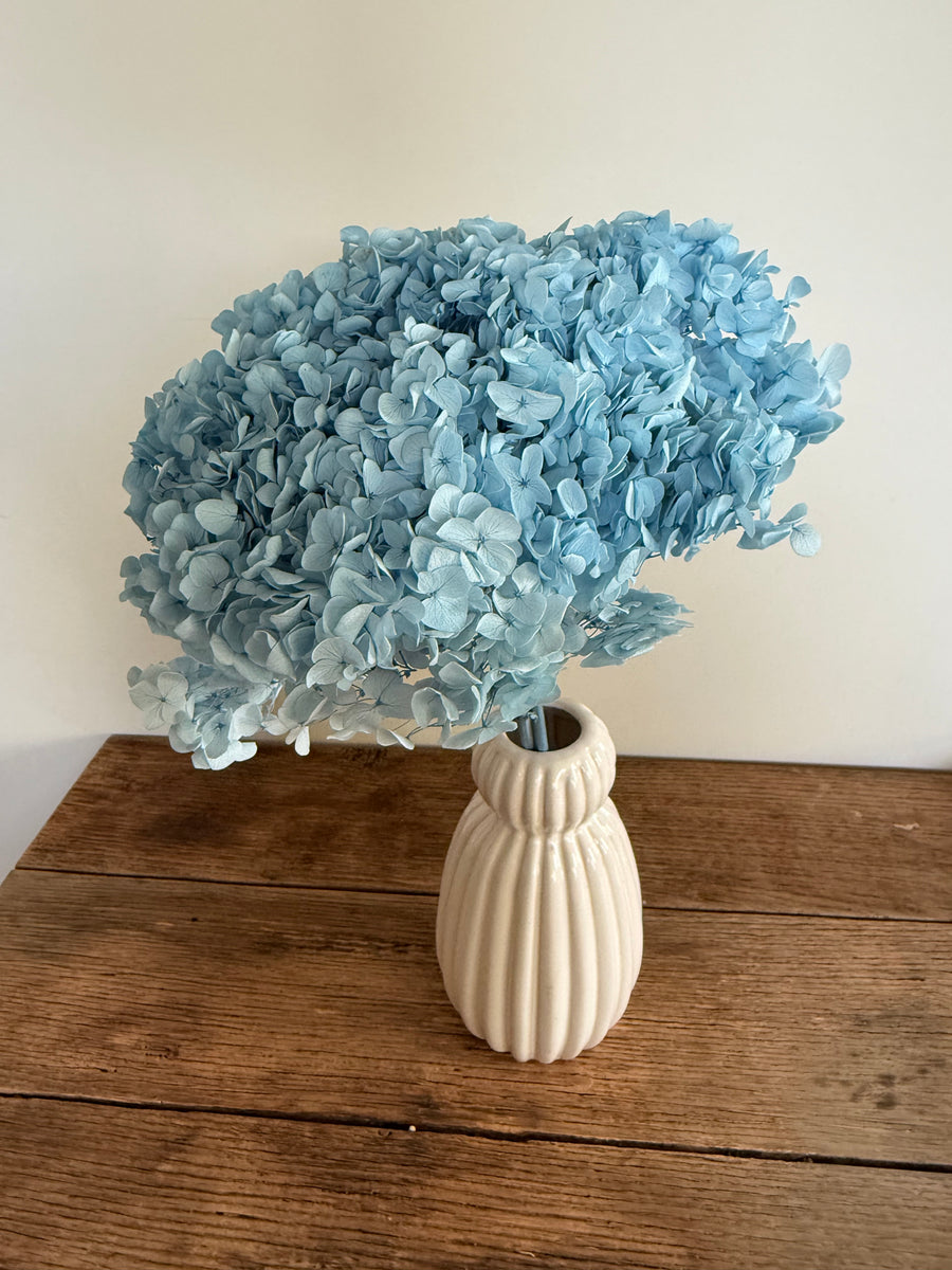 Preserved Hydrangea Stem