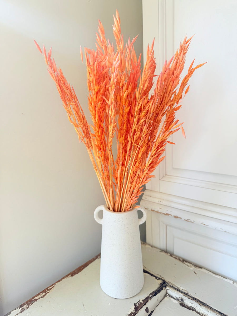 Naturally Dried / Coloured Oat / Avena