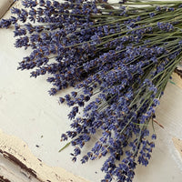 Naturally Dried Lavender bunch - blue purple