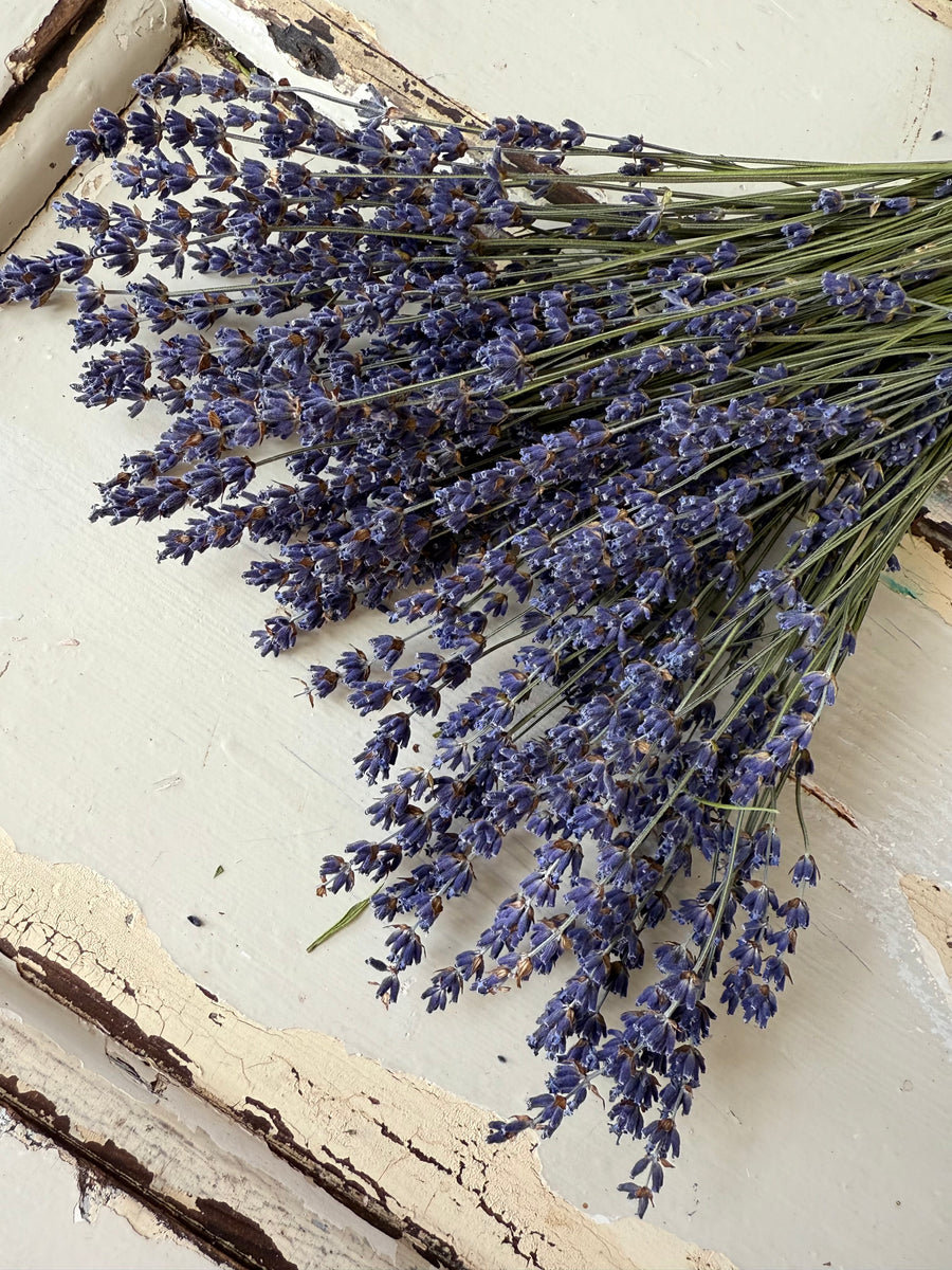 Naturally Dried Lavender bunch - blue purple