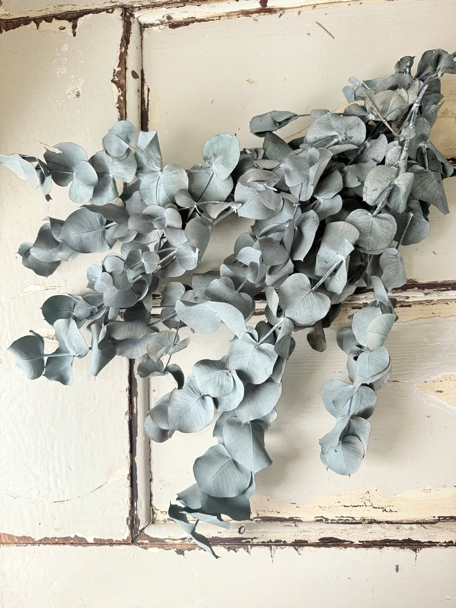 Preserved Eucalyptus – Dry-Touch 3D Finish