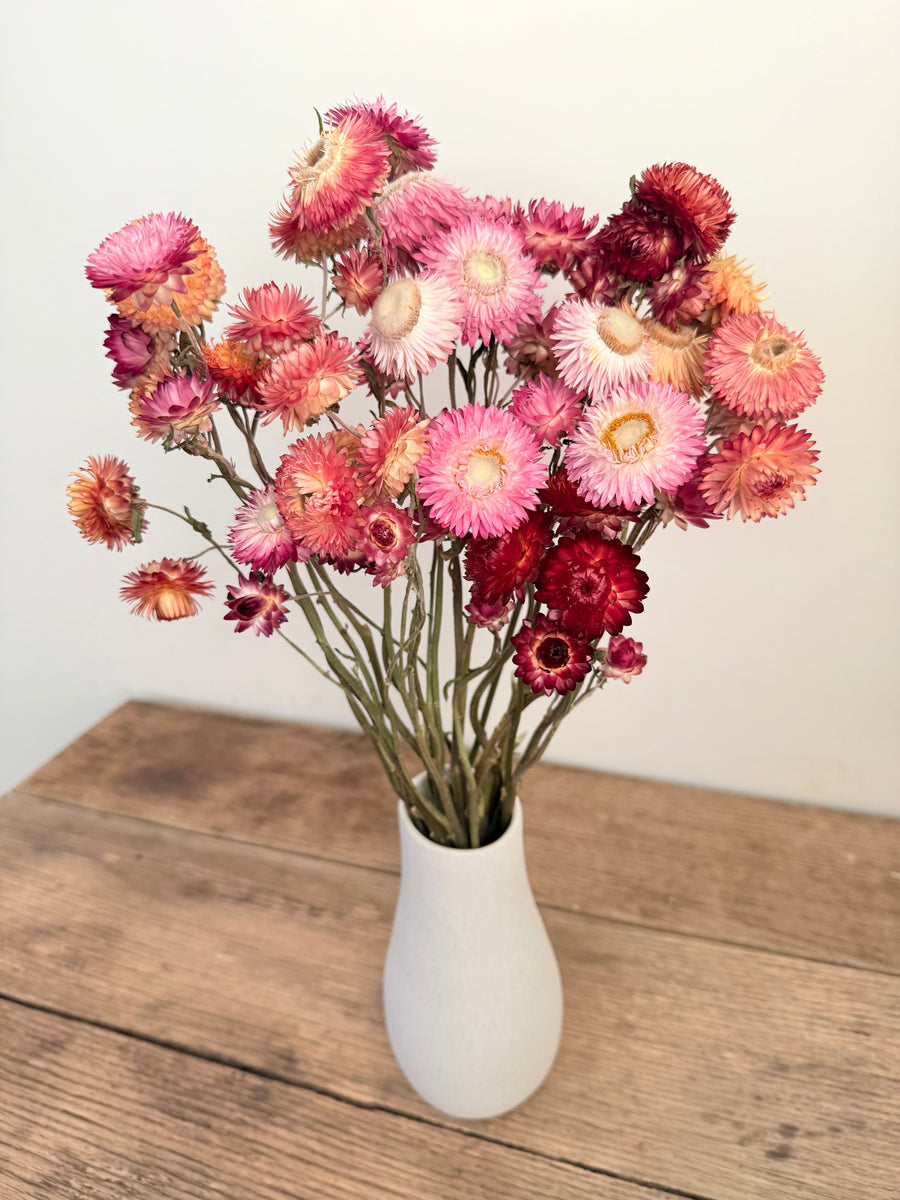 Naturally Dried Helichrysum - Everlasting / Paper Daisy / Strawflower - stems / heads