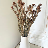 Outlet & Sample [flower stems / greenery]