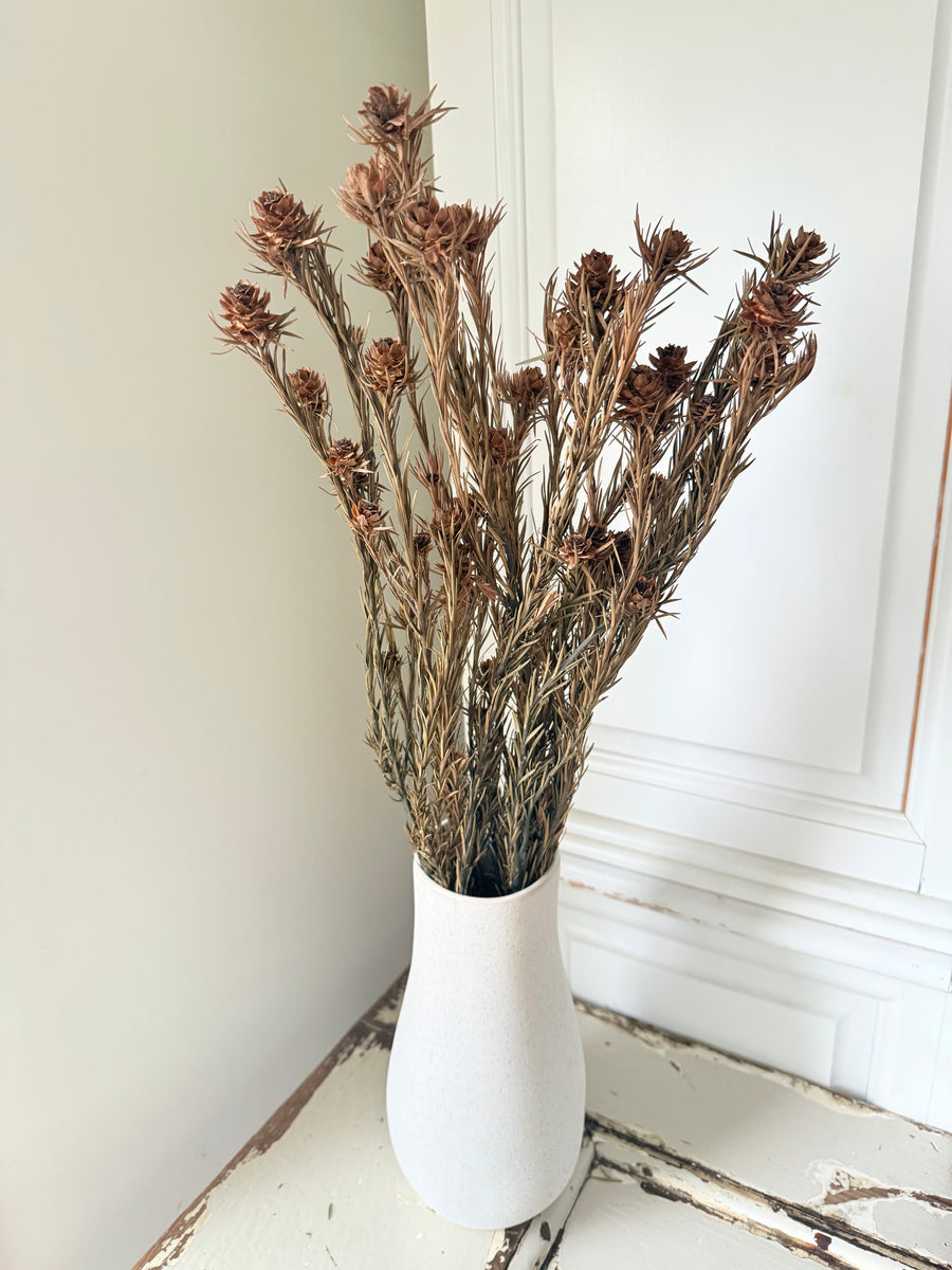 Outlet & Sample [flower stems / greenery]