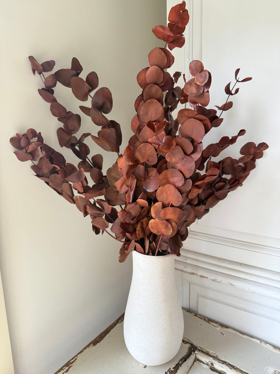 Preserved Eucalyptus / Gum