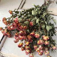 Dried Spray Mini Rose