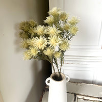 Naturally Dried Philyca Flowers - natural green beige