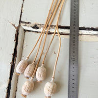 Naturally Dried Poppy Pods* / Papaver - natural brown
