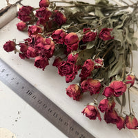 Dried Spray Mini Rose