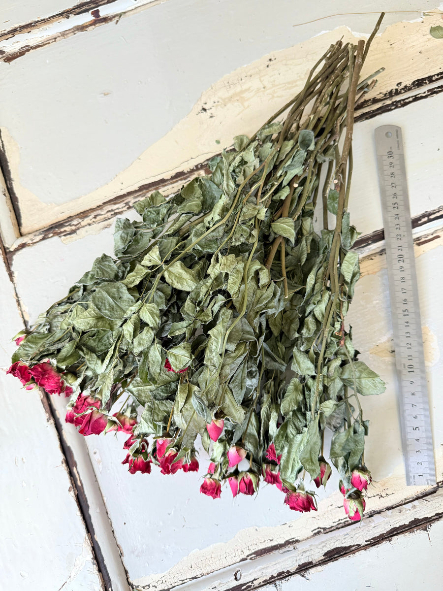 Naturally Dried Rose