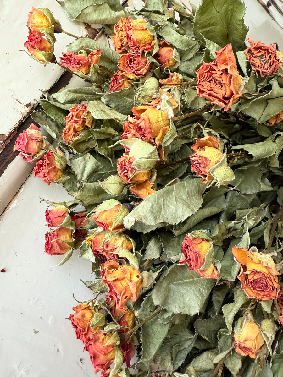 Naturally Dried Rose