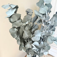 Preserved Eucalyptus – Dry-Touch 3D Finish
