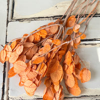 Outlet & Sample [flower stems / greenery]