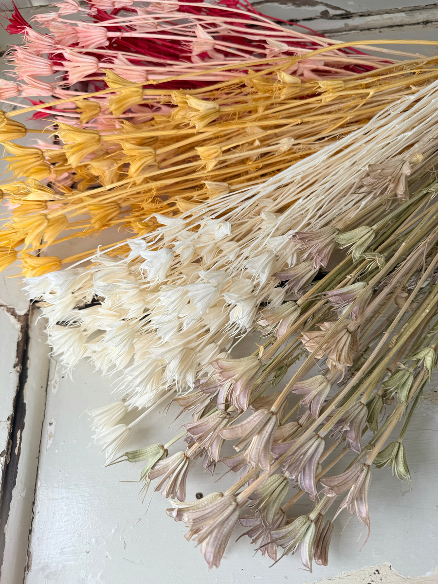 Dried Nigella Flower