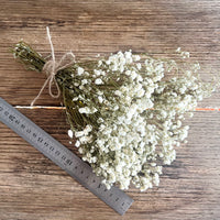 Everlasting Preserved Baby's Breath Bouquet [Mini/SM/ML]