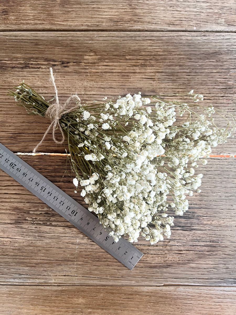 Everlasting Preserved Baby's Breath Bouquet [Mini/SM/ML]