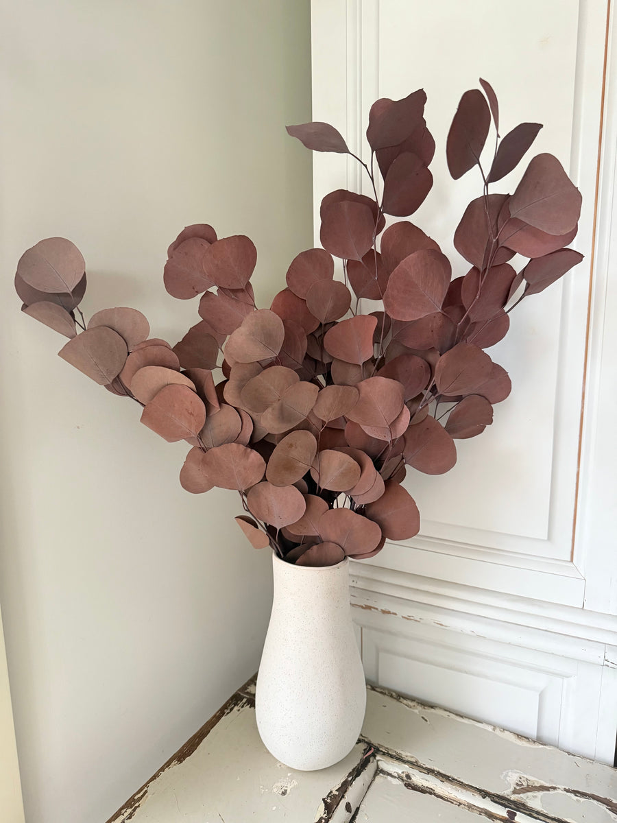 Preserved Eucalyptus / Gum