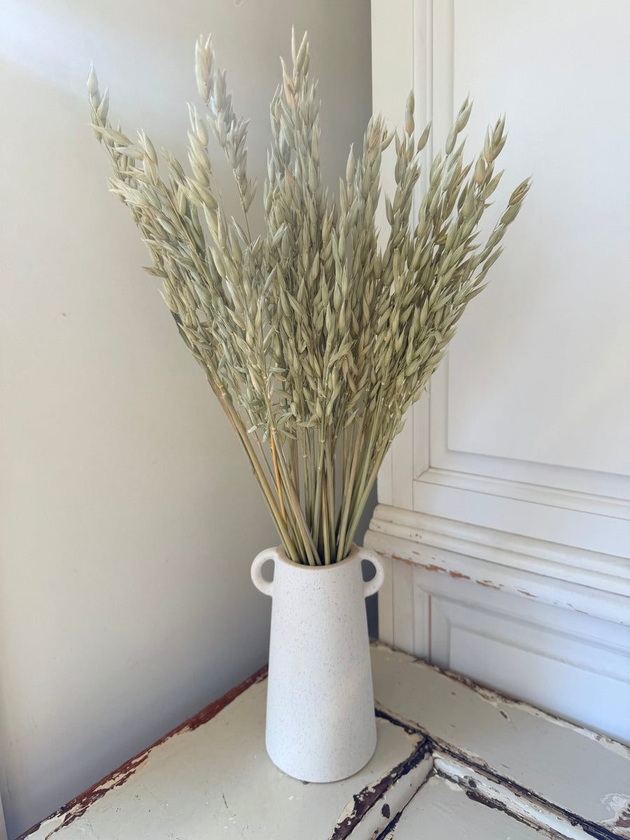 Naturally Dried / Coloured Oat / Avena