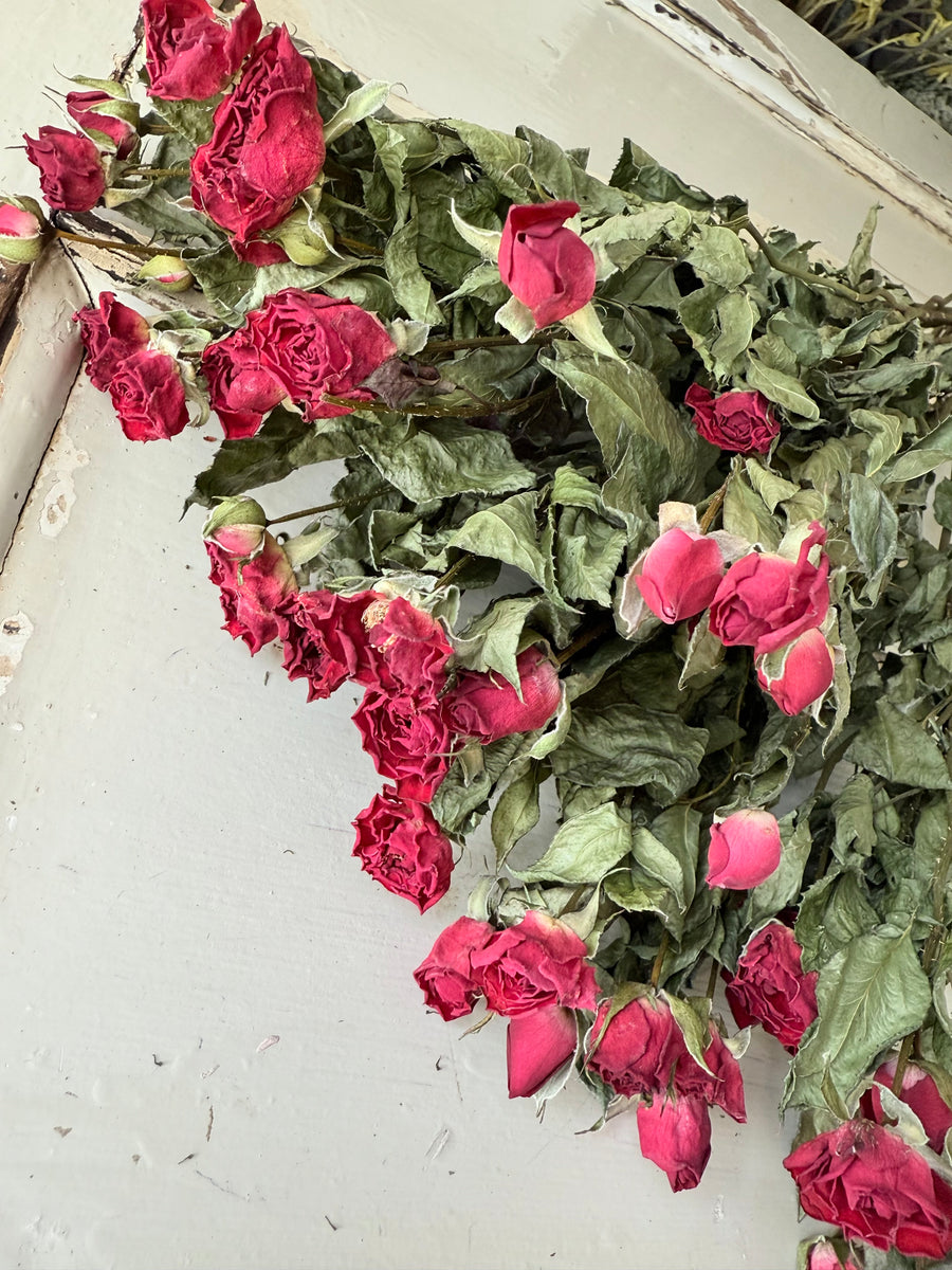 Naturally Dried Rose