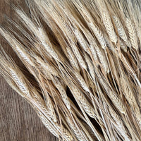 Naturally Dried Wheat