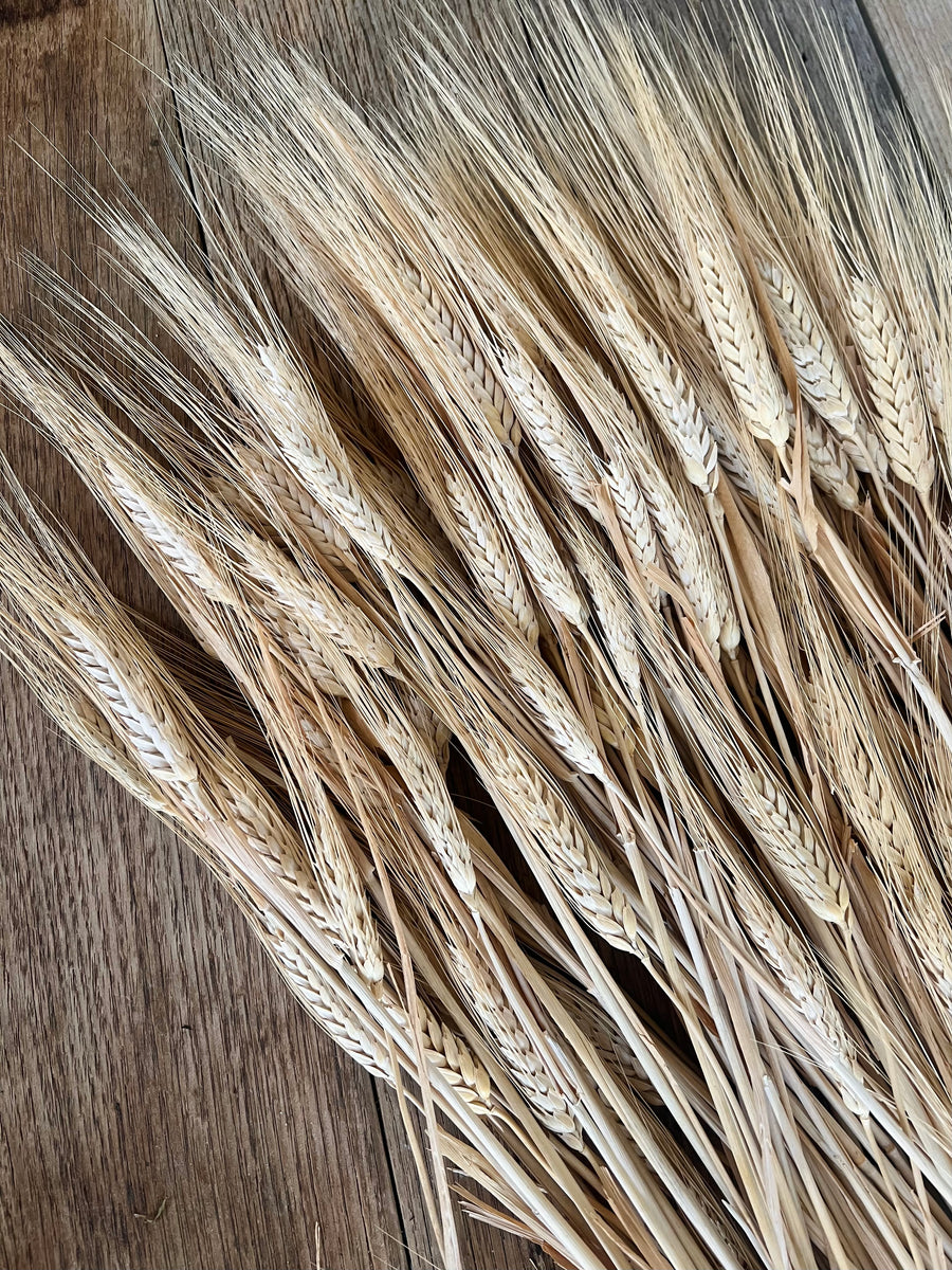 Naturally Dried Wheat