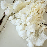 　[Colourful] Outlet & Samples