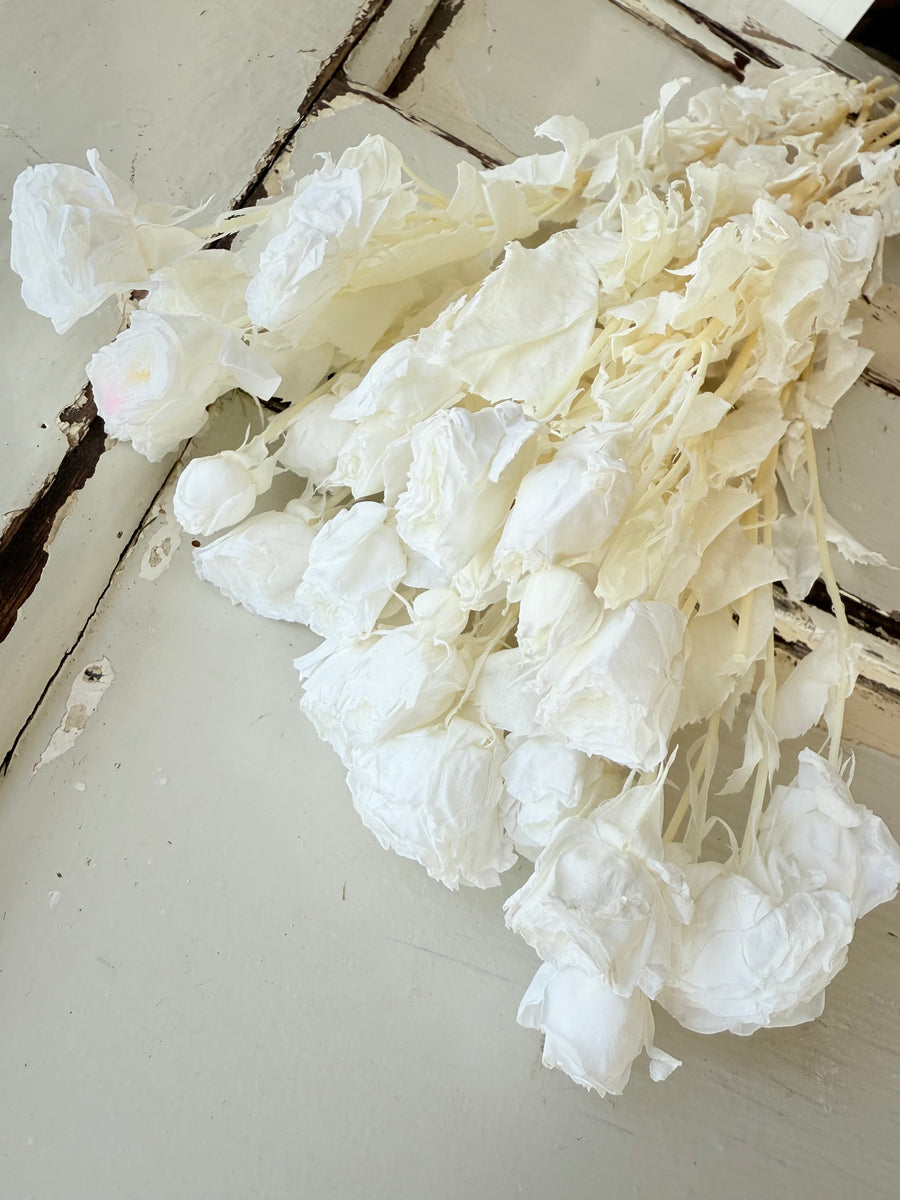 　[Colourful] Outlet & Samples