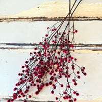 Dried Strillingia with pods