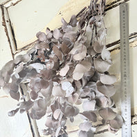 Preserved Eucalyptus – Dry-Touch 3D Finish