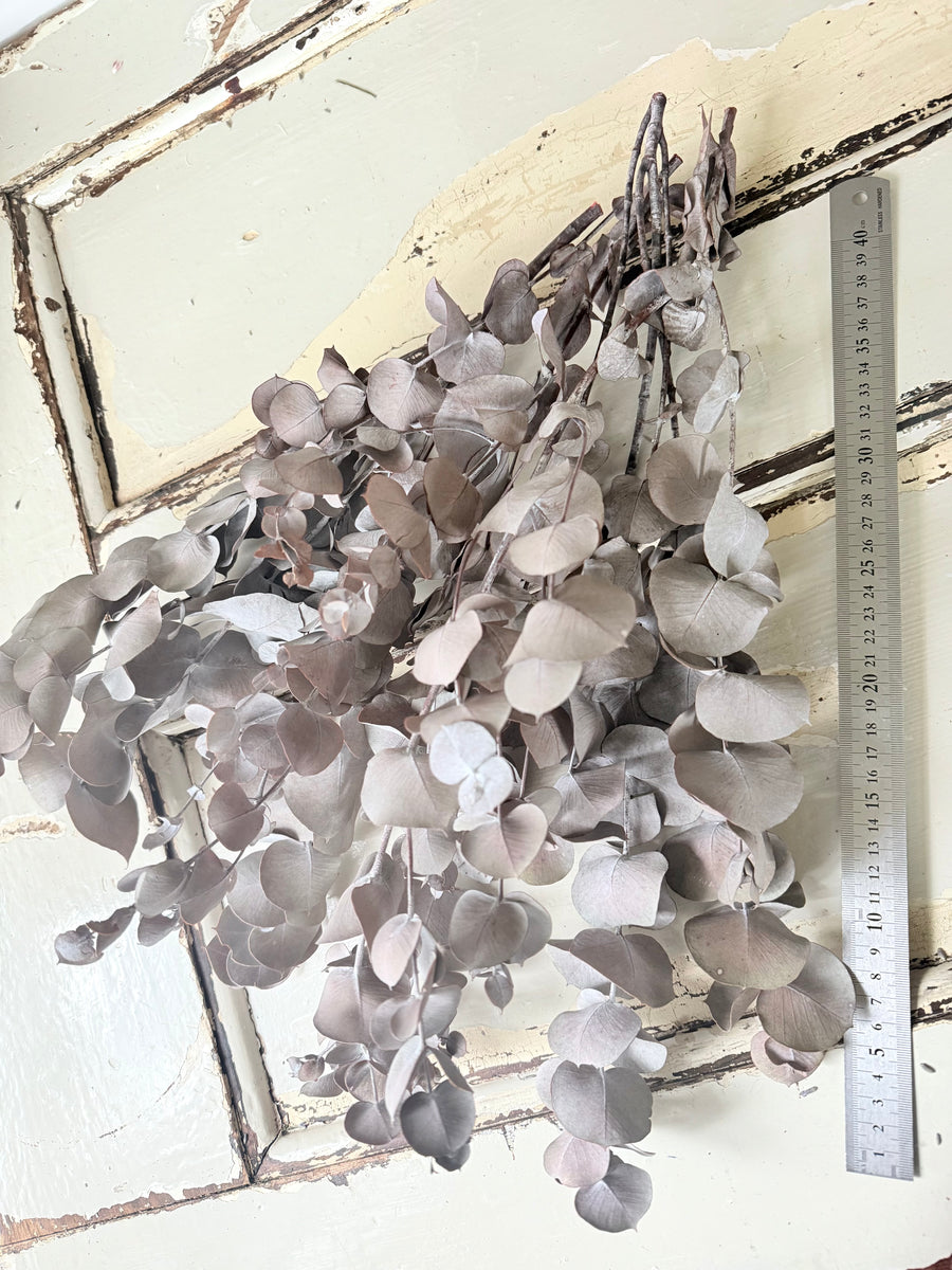 Preserved Eucalyptus – Dry-Touch 3D Finish