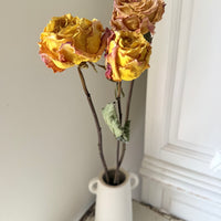 Dried Rose