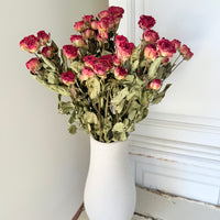 Naturally Dried Spray Rose