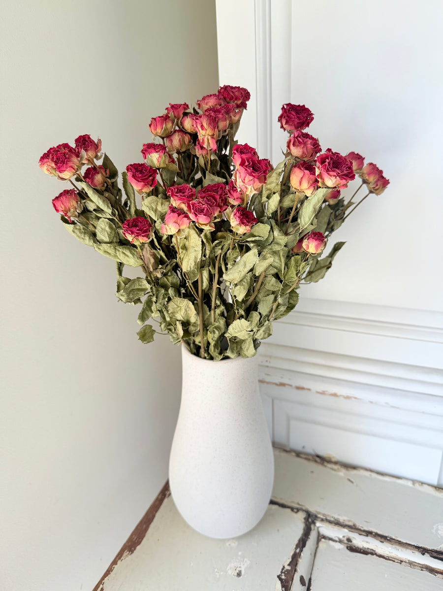 Naturally Dried Spray Rose