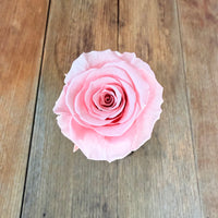 自然干燥玫瑰