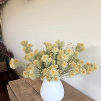 Butter Field Vase arrangement [2weekdays dispatch / L / All Around]