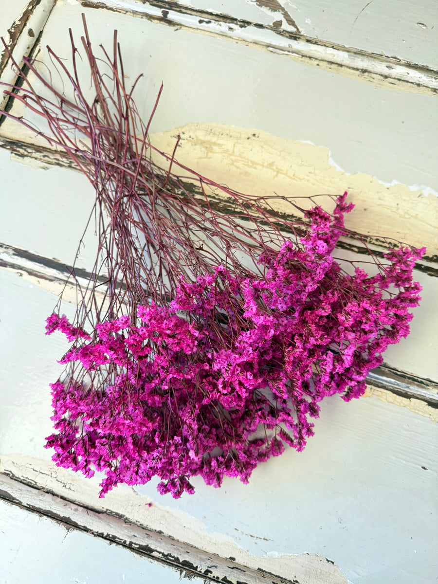 Preserved Crystal Grass / Caspea