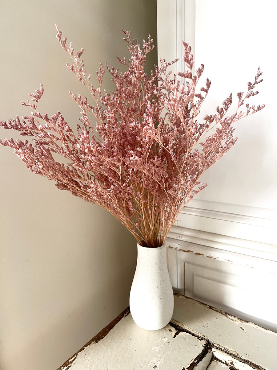 Soft / Vivid Hue Preserved Limonium | Misty | Sea Lavender