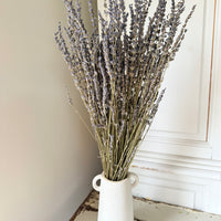 　[Deep & Natural Colours] Outlet & Samples